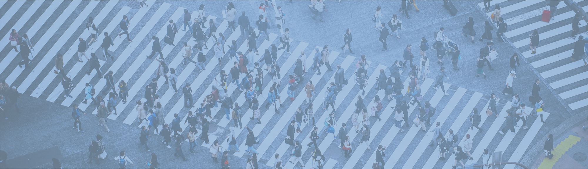 aerial view of people walking on raod